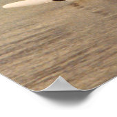 Hobie Katamaran bereit segeln Poster (Ecke)