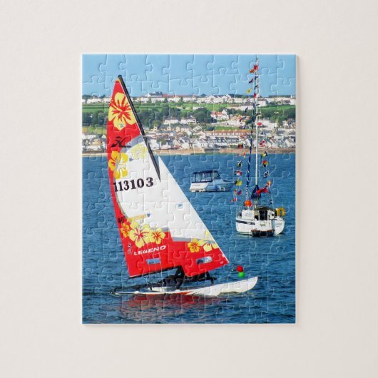 Hobie Katze, Jersey Puzzle (Vertikal)