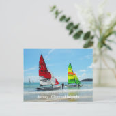 Hobie-Katzen in Jersey Postkarte (Stehend Vorderseite)