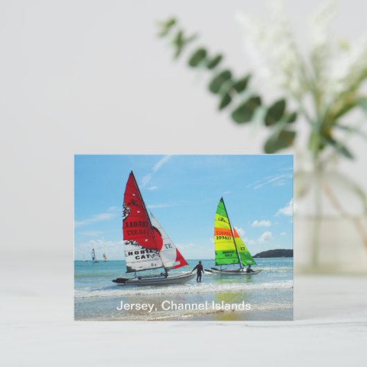 Hobie-Katzen in Jersey Postkarte (Stehend Vorderseite)