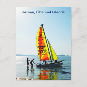 Hobie Katzen-Segelboot Jersey Postkarte