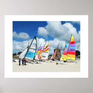 Hobies am Strand Poster