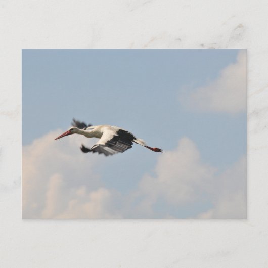 Hoch am Himmel Postkarte (Vorderseite)