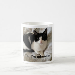 Hoch entwickelte Katze: "Ja, bin ich entzückend. Kaffeetasse