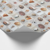 Hoch entwickelte Muscheln Geschenkpapier (Ecke)