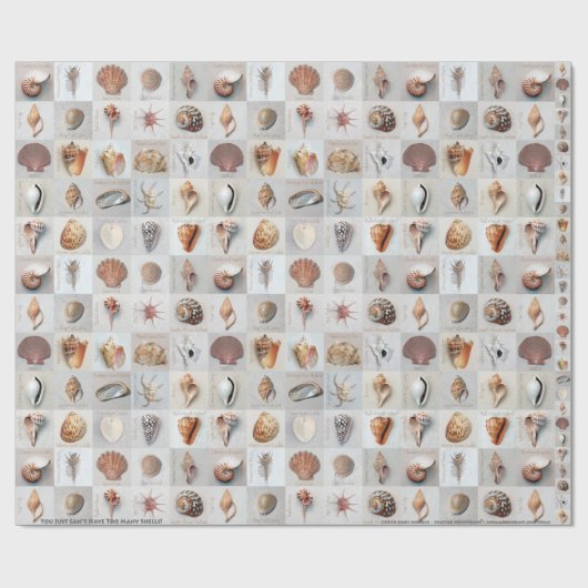 Hoch entwickelte Muscheln Geschenkpapier (Flach)