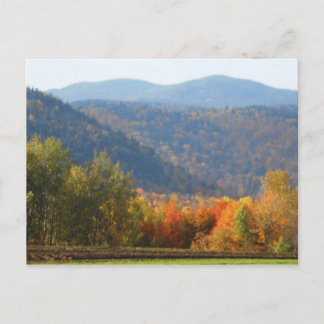 Hoch Gipfel Adirondacks Herbstgebirge Wald Postkarte