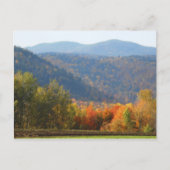 Hoch Gipfel Adirondacks Herbstgebirge Wald Postkarte (Vorderseite)