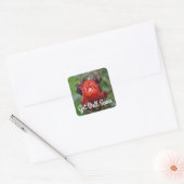 Hoch koka Rose #1 Stickers (Umschlag)