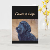 Hoch krebserregend ist der Niedliche Hund mit zähe Karte (Gelbe Blume)