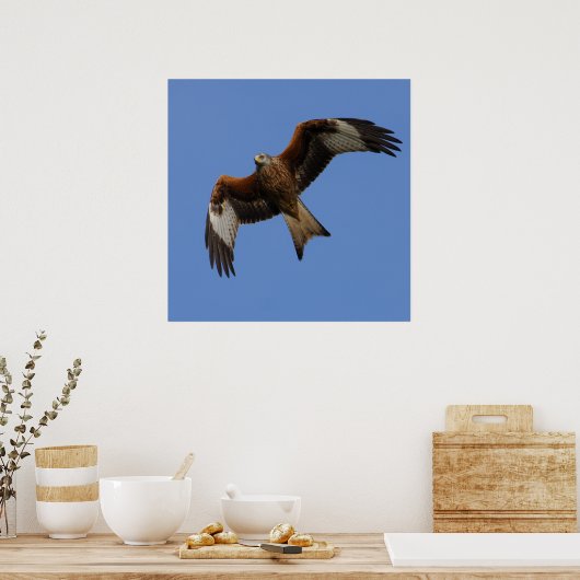 Hoch roter Kite Print Poster (Küche)