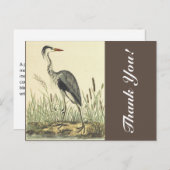 Hoch Stehender Vogel in der Nähe von Cattails, "Da Postkarte (Vorne/Hinten)