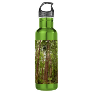 Hoch zu den Redwoods I im Muir Woods National Monu Edelstahlflasche