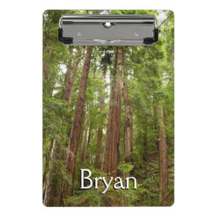 Hoch zu den Redwoods I im Muir Woods National Monu Mini Klemmbrett
