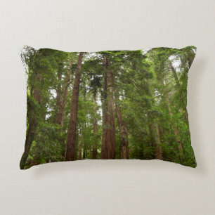 Hoch zu den Redwoods I im Muir Woods National Monu Zierkissen