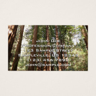 Hoch zu den Redwoods II im Muir Woods National Mon