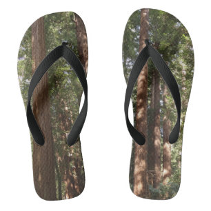 Hoch zu den Redwoods II im Muir Woods National Mon Badesandalen
