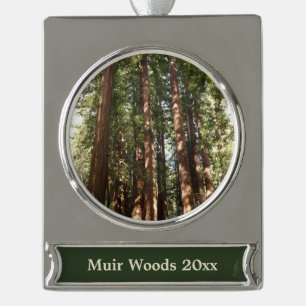 Hoch zu den Redwoods II im Muir Woods National Mon Banner-Ornament Silber