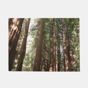 Hoch zu den Redwoods II im Muir Woods National Mon Fußmatte
