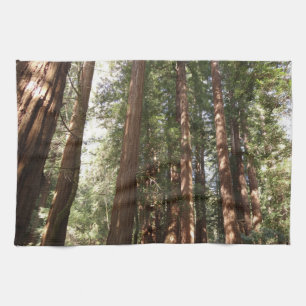 Hoch zu den Redwoods II im Muir Woods National Mon Geschirrtuch