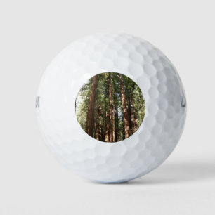 Hoch zu den Redwoods II im Muir Woods National Mon Golfball