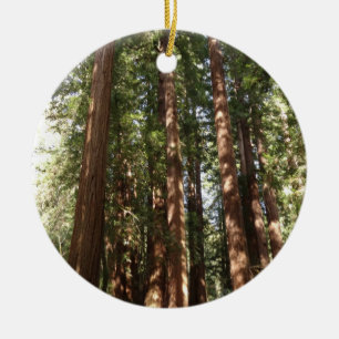 Hoch zu den Redwoods II im Muir Woods National Mon Keramikornament