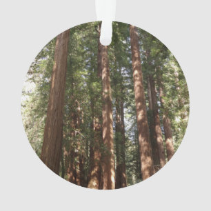 Hoch zu den Redwoods II im Muir Woods National Mon Ornament