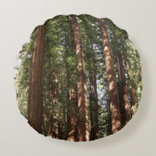 Hoch zu den Redwoods II im Muir Woods National Mon Rundes Kissen