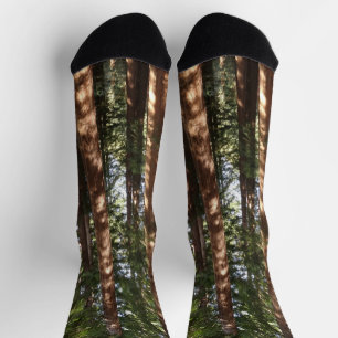 Hoch zu den Redwoods II im Muir Woods National Mon Socken