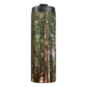 Hoch zu den Redwoods II im Muir Woods National Mon Thermosbecher