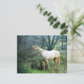 Hoch zum Abendessen Postkarte (Stehend Vorderseite)