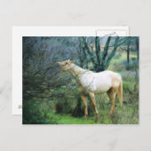 Hoch zum Abendessen Postkarte (Vorne/Hinten)