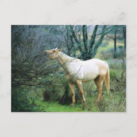 Hoch zum Abendessen Postkarte (Vorderseite)