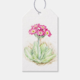 Hochalpine Aquarellfarben Blume Feine Kunst Tags Geschenkanhänger