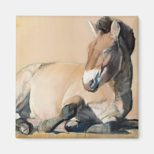 Hochebene Sun Magnet