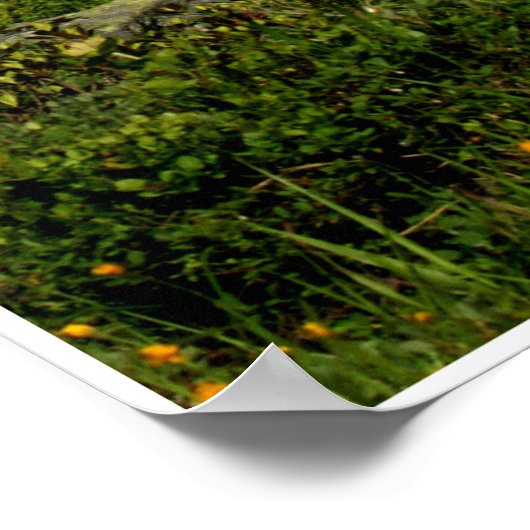 Hochferner by Johannes Stötter Poster (Ecke)