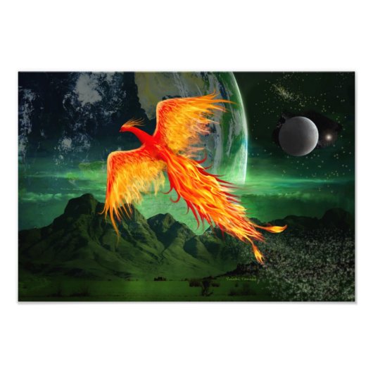 Hochfliegender Phoenix Fotodruck (Vorne)