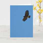 Hochfliegendes Rot angebundener Falke Karte (Gelbe Blume)