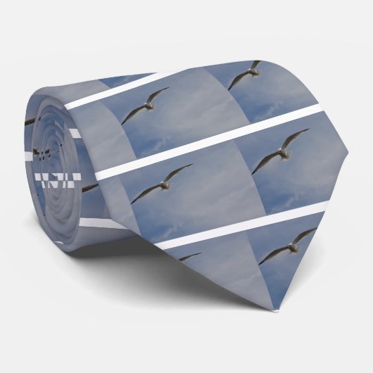 Hochfliegendes Segelflugzeug Krawatte (Gerollt)