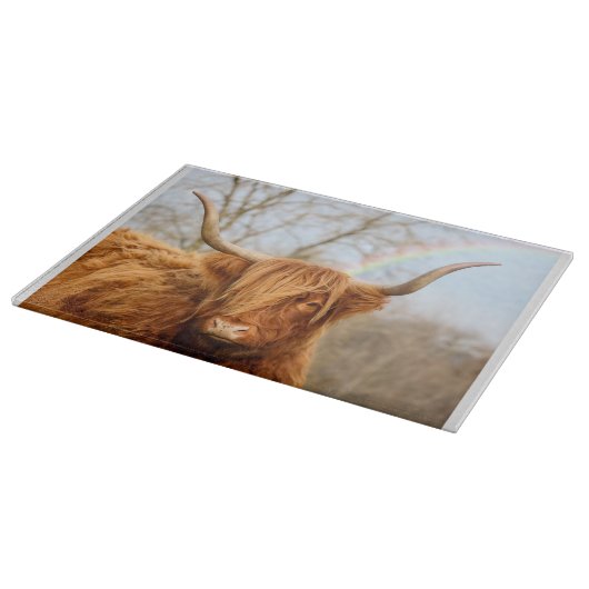 Hochglanz-Kuhglasfaser Schneidebrett (Ecke)