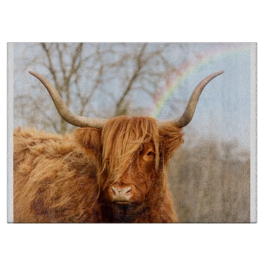 Hochglanz-Kuhglasfaser Schneidebrett (Vorderseite)