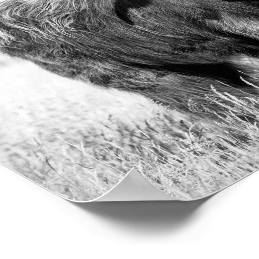 Hochglanzzunge schwarz-weiß poster (Ecke)