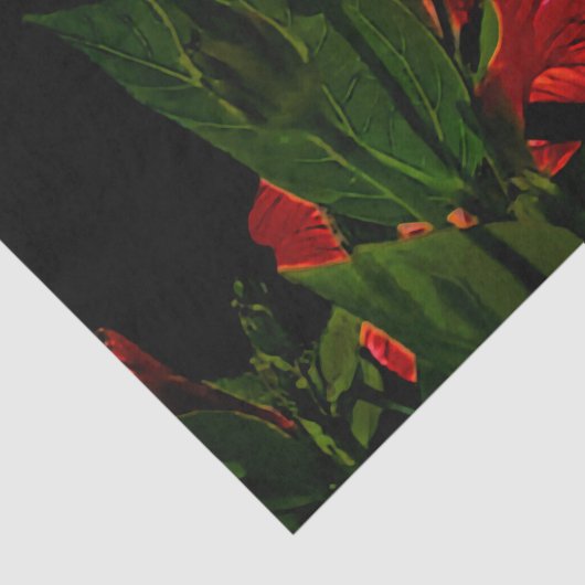Hochkontrast-Hibisken-Blume Foto-Illustration Seidenpapier (Ausschnitt)