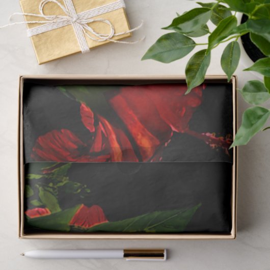 Hochkontrast-Hibisken-Blume Foto-Illustration Seidenpapier (Geschenk)