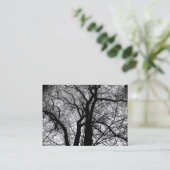 Hochkontrast Visitenkarte (Stehend Vorderseite)