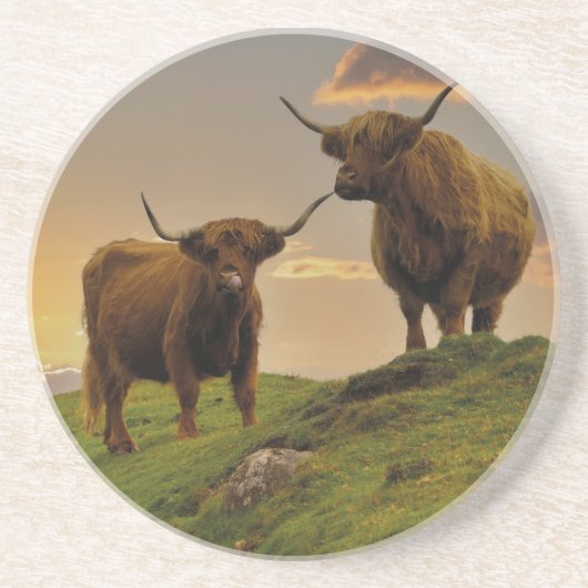 Hochkühe bei Sonnenuntergang Getränkeuntersetzer (Vorne)