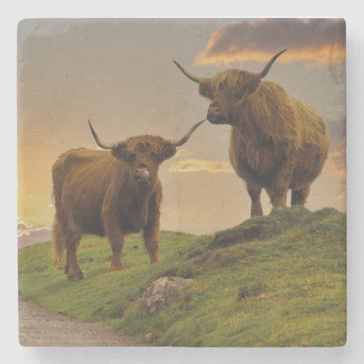 Hochkühe bei Sonnenuntergang Steinuntersetzer (Vorderseite)