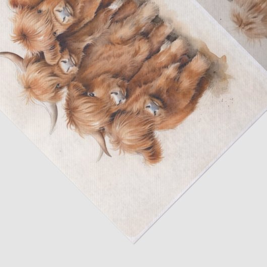 Hochland-Ansammlung Seidenpapier (Ausschnitt)