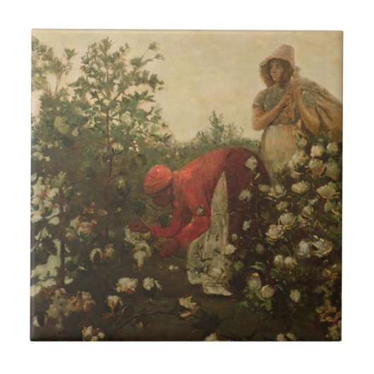 Hochland-Baumwolle Fliese (Vorderseite)