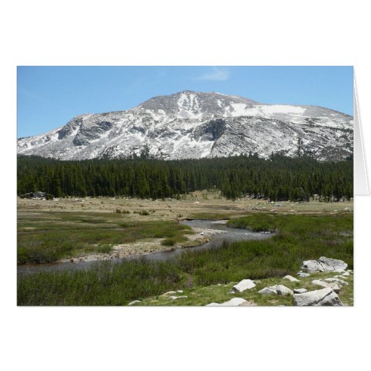 Hochland-Bergstrom I (Vorderseite (Horizontal))